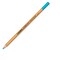 Lyra Rembrandt Polycolor Premium Oil-Based Colored Pencil - Aquamarine